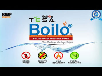 Action Tesa Boilo 12 mm Board